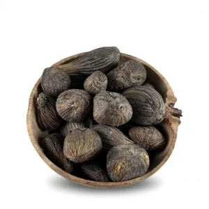 Ikin sagrados de Ifá