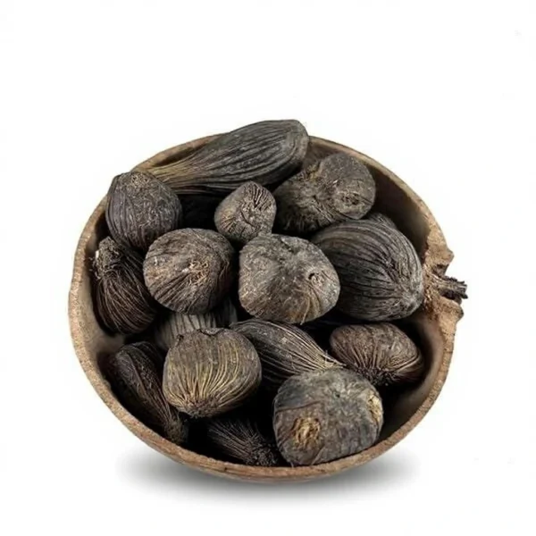Ikin sagrados de Ifá